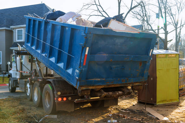 Yard Cleanup Services in Rock Rapids, IA